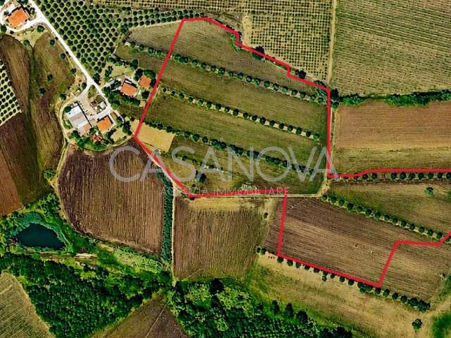Terreno in vendita a Mosciano Sant'Angelo TE