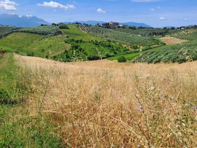 Terreno in vendita a Moscufo PE