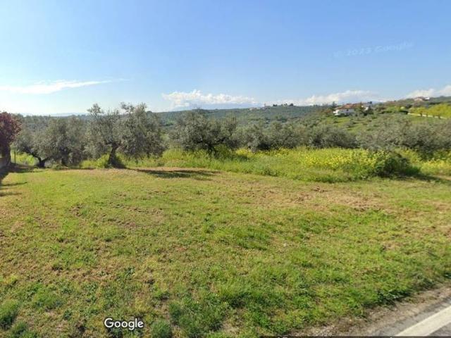 Terreno in vendita a Moscufo PE
