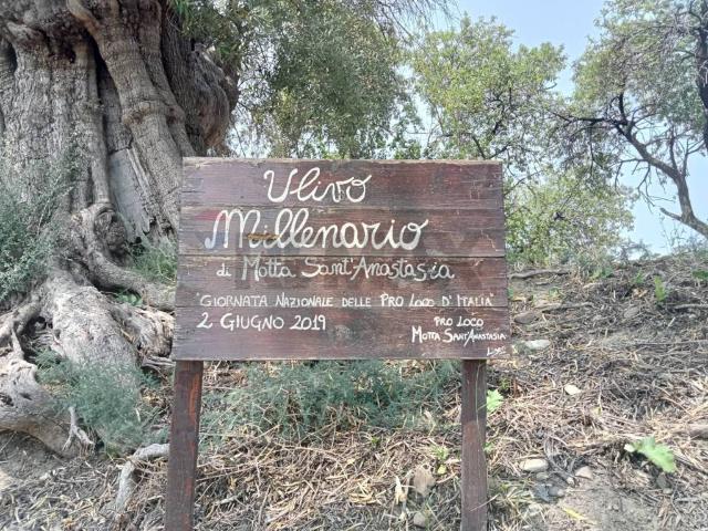 Terreno in vendita a Motta Sant'Anastasia CT
