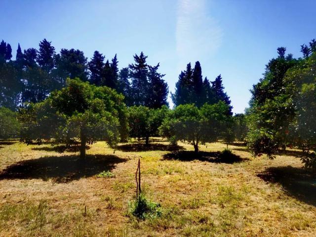 Terreno in vendita a Muravera SU