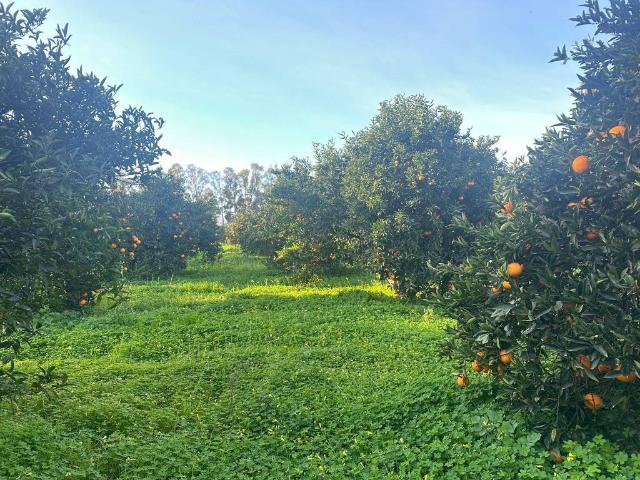 Terreno in vendita a Muravera SU