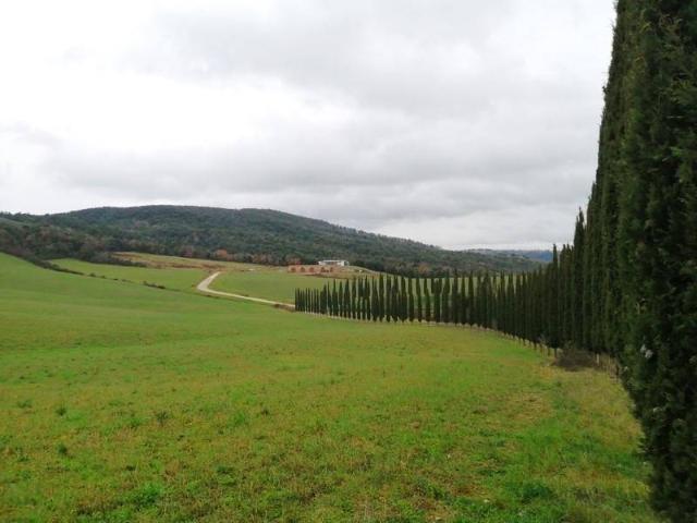 Terreno in vendita a Murlo SI