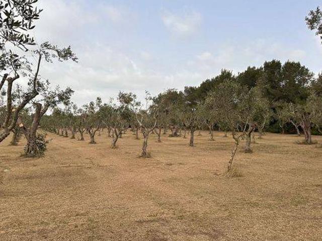 Terreno in vendita a Muro Leccese LE
