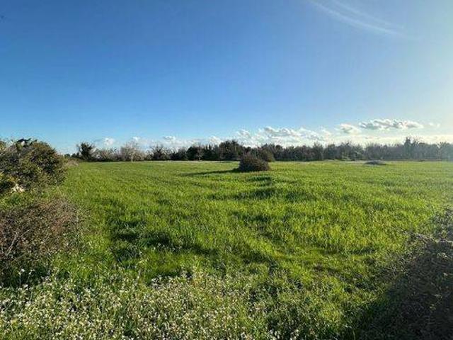 Terreno in vendita a Muro Leccese LE