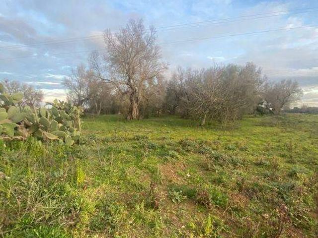Terreno in vendita a Muro Leccese LE