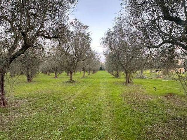 Terreno in vendita a Muro Leccese LE