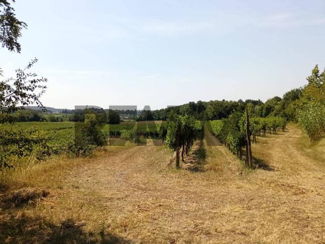 Terreno in vendita a Muscoline BS