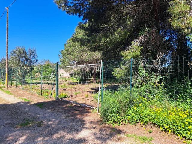 Terreno in vendita a Nardò LE