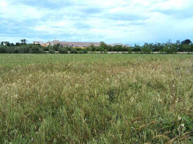Terreno in vendita a Nardò LE