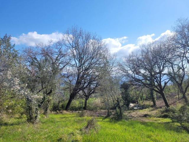 Terreno in vendita a Narni TR