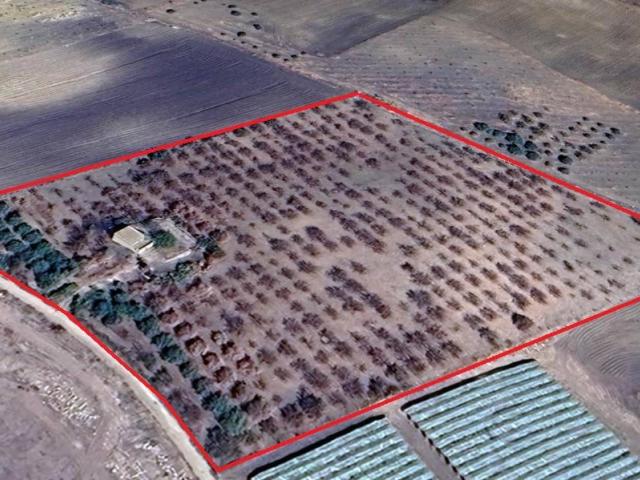 Terreno in vendita a Naro AG