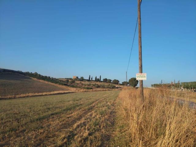 Terreno in vendita a Naro AG