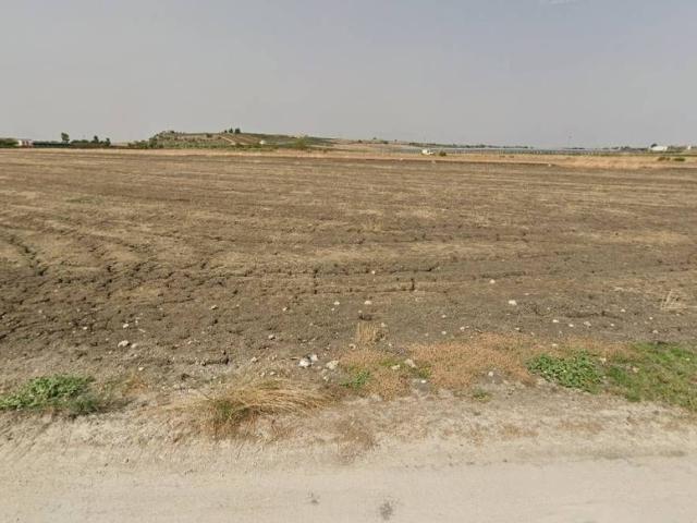 Terreno in vendita a Naro AG