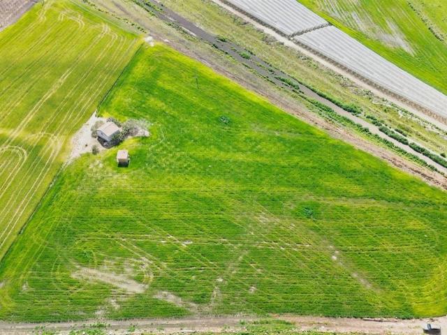 Terreno in vendita a Naro AG