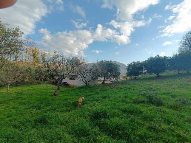Terreno in vendita a Nemoli PZ