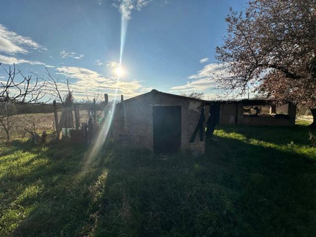 Terreno in vendita a Nepi VT
