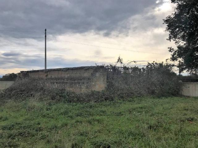 Terreno in vendita a Nepi VT