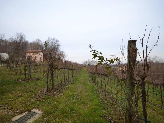 Terreno in vendita a Nervesa della Battaglia TV