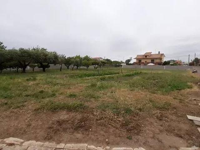 Terreno in vendita a Nettuno RM