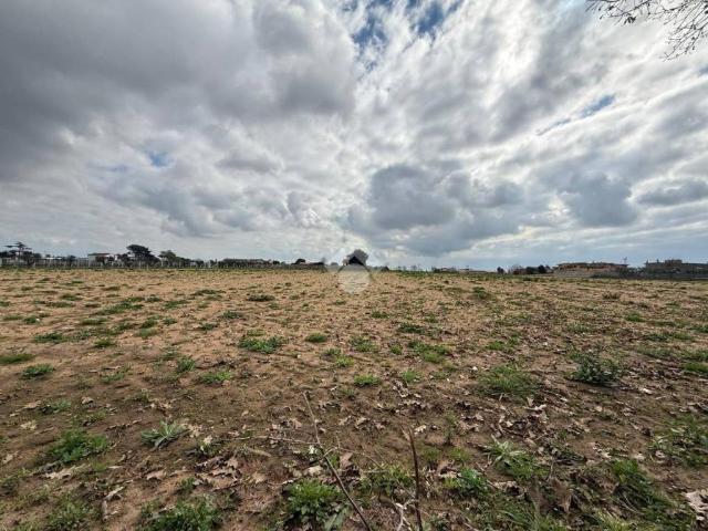 Terreno in vendita a Nettuno RM