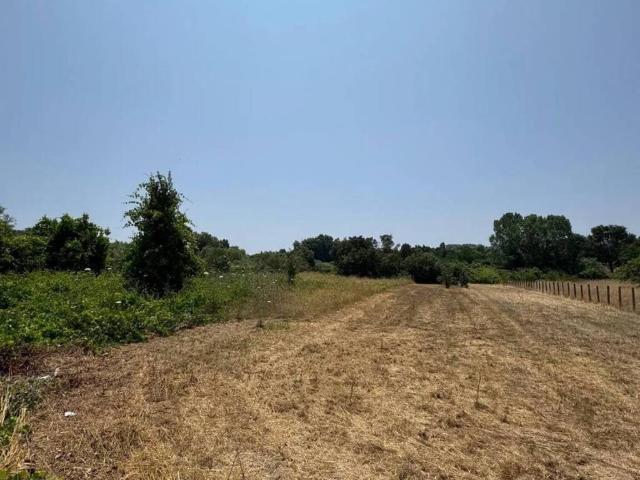 Terreno in vendita a Nettuno RM