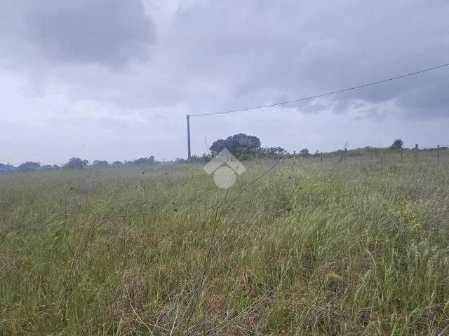 Terreno in vendita a Nettuno RM