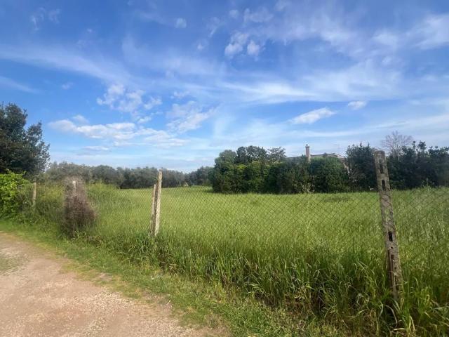 Terreno in vendita a Nettuno RM