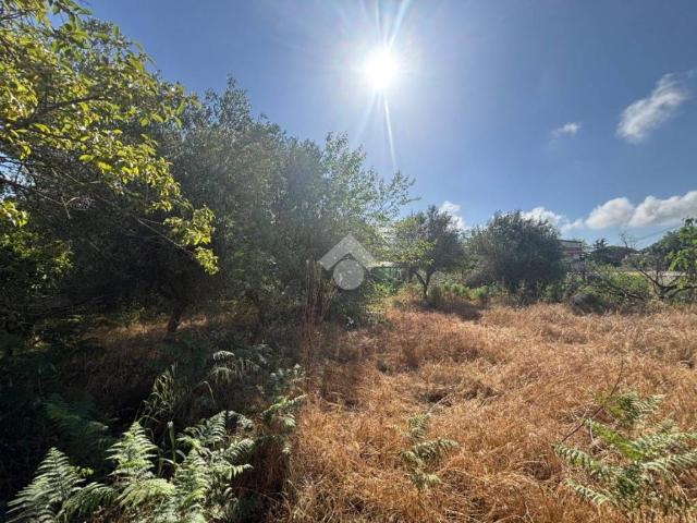 Terreno in vendita a Nettuno RM