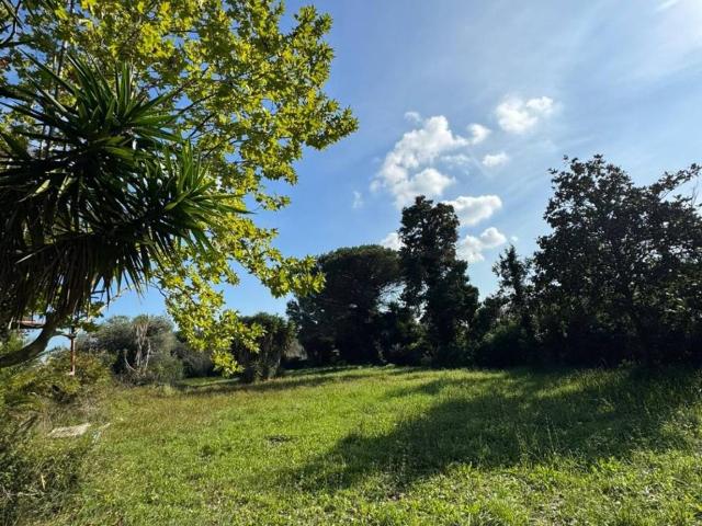 Terreno in vendita a Nettuno RM