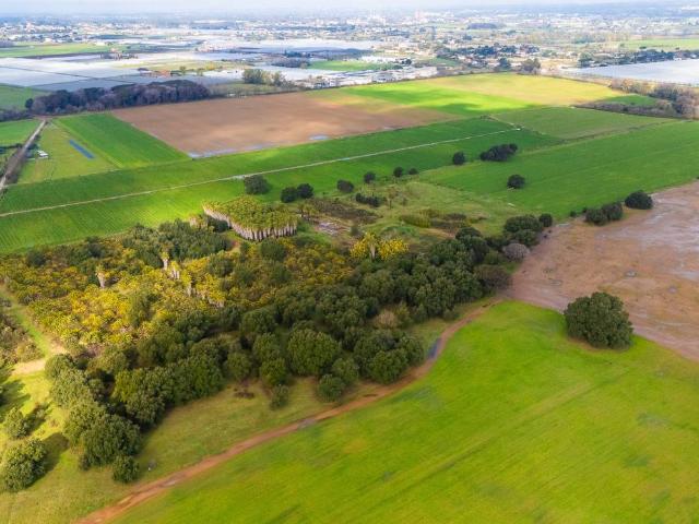 Terreno in vendita a Nettuno RM