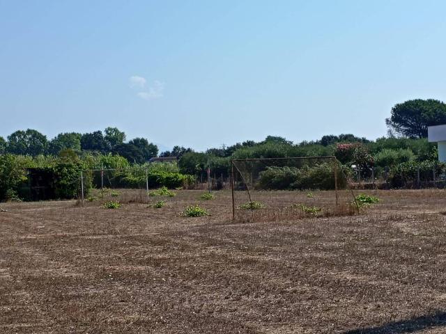Terreno in vendita a Nettuno RM