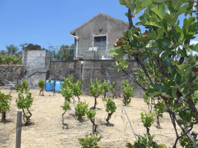 Terreno in vendita a Nicolosi CT