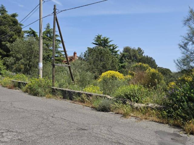 Terreno in vendita a Nicolosi CT