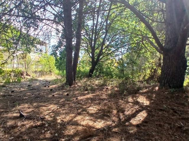 Terreno in vendita a Nicolosi CT