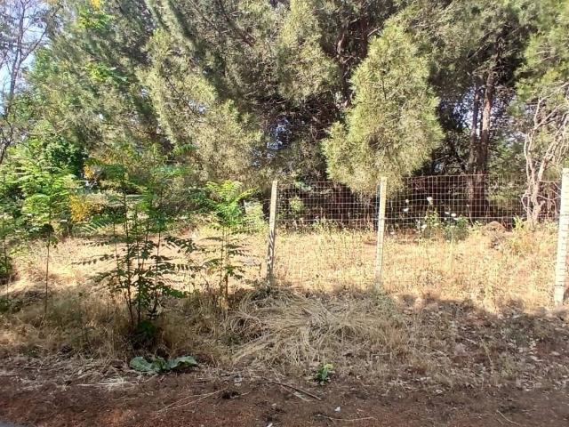 Terreno in vendita a Nicolosi CT