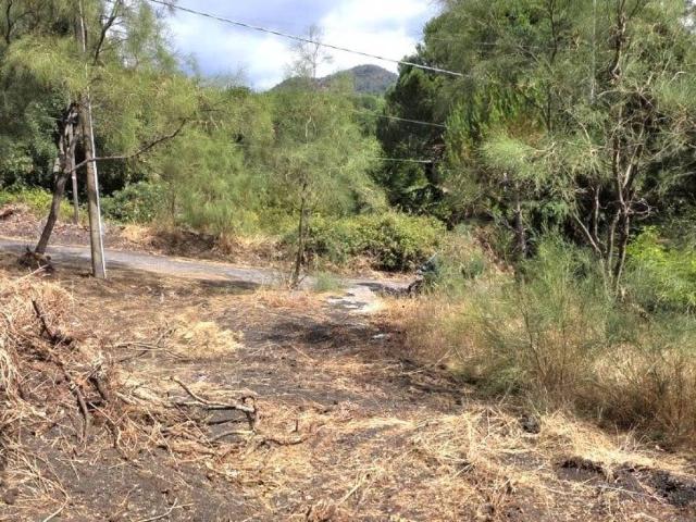Terreno in vendita a Nicolosi CT