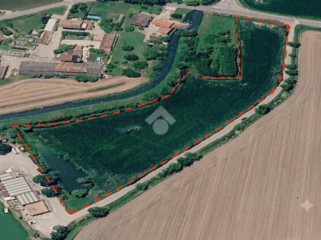 Terreno in vendita a Nogarole Rocca VR