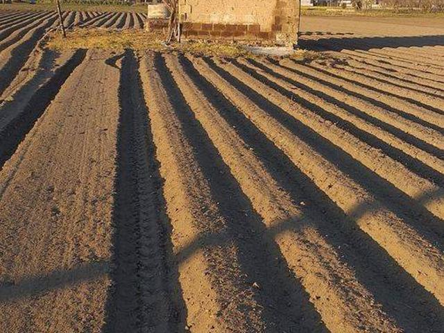 Terreno in vendita a Nola NA
