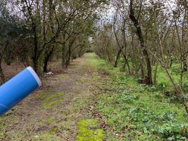 Terreno in vendita a Nola NA