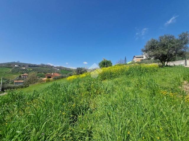 Terreno in vendita a Notaresco TE