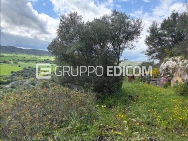 Terreno in vendita a Noto Rif. 4549562