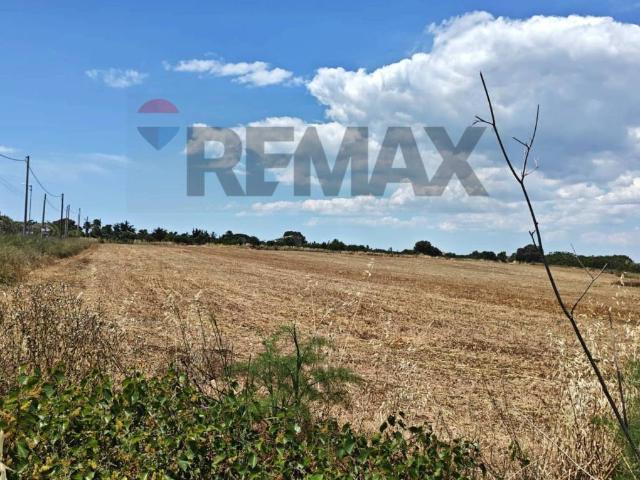 Terreno in vendita a Noto SR
