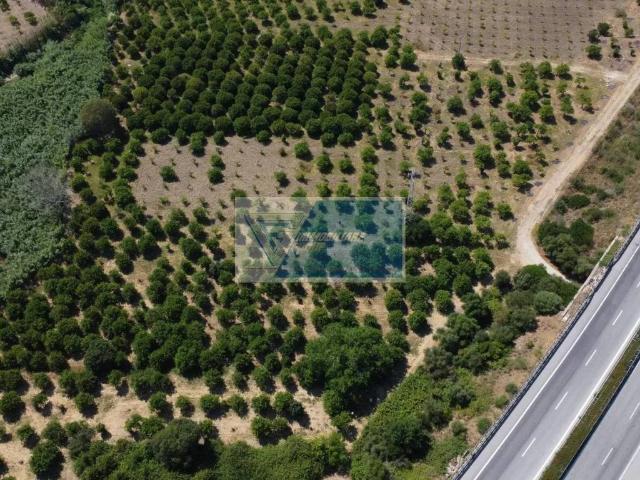 Terreno in vendita a Noto SR