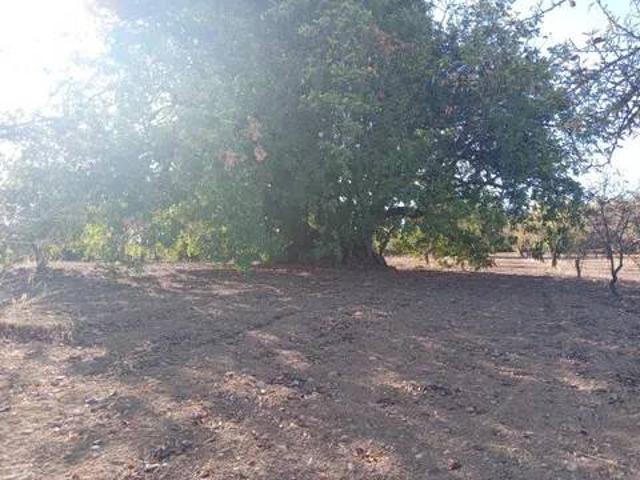 Terreno in vendita a Noto SR