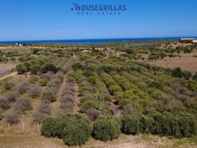 Terreno in vendita a Noto SR