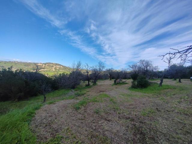 Terreno in vendita a Noto SR