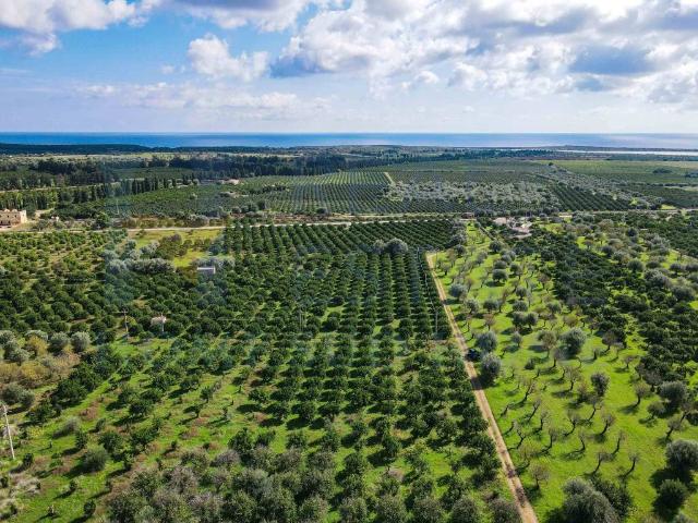 Terreno in vendita a Noto SR