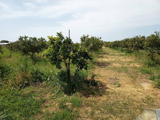 Terreno in vendita a Noto SR