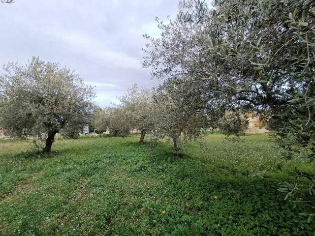 Terreno in vendita a Noto SR